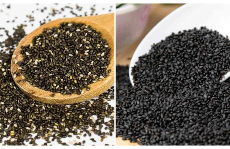 chia seeds vs basil seeds