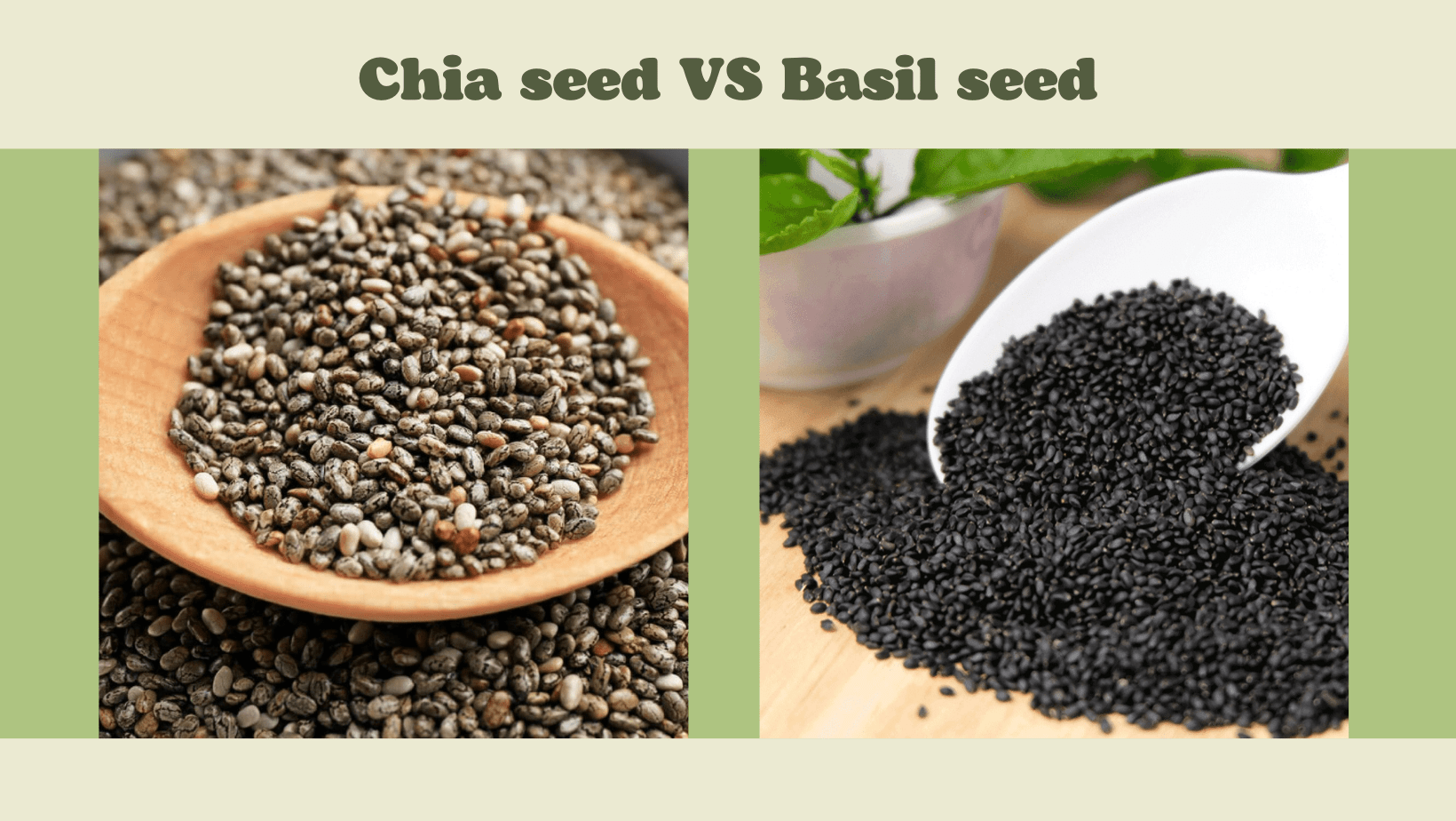 Chia seed vs basil seed