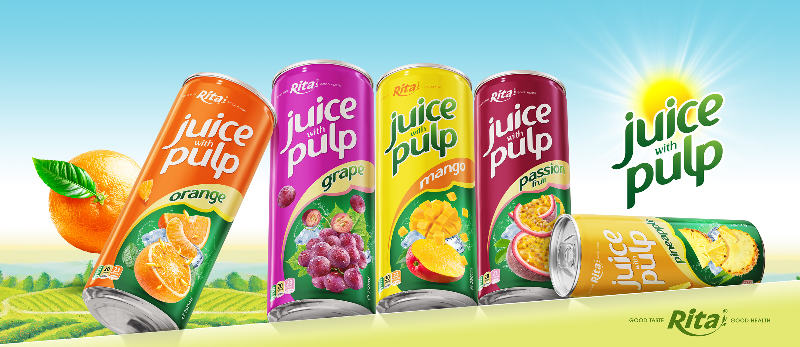 design juice with pulp 250ml can