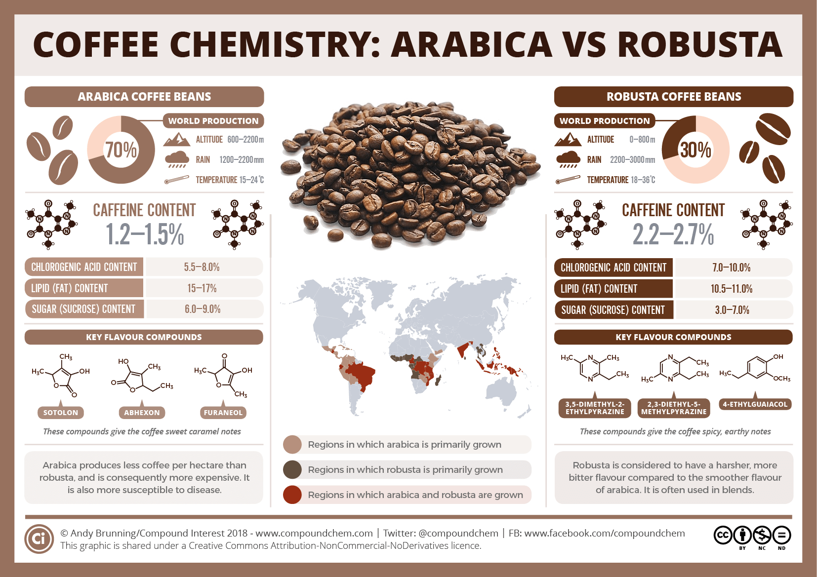 arabica and robusta 01