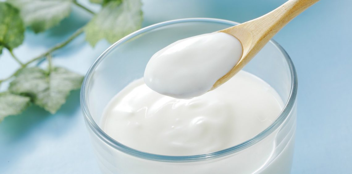 Yogurt is made by bacterial fermentation of milk 