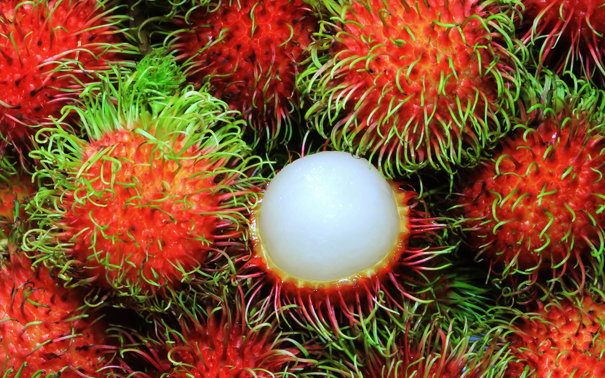 Rambutan 3