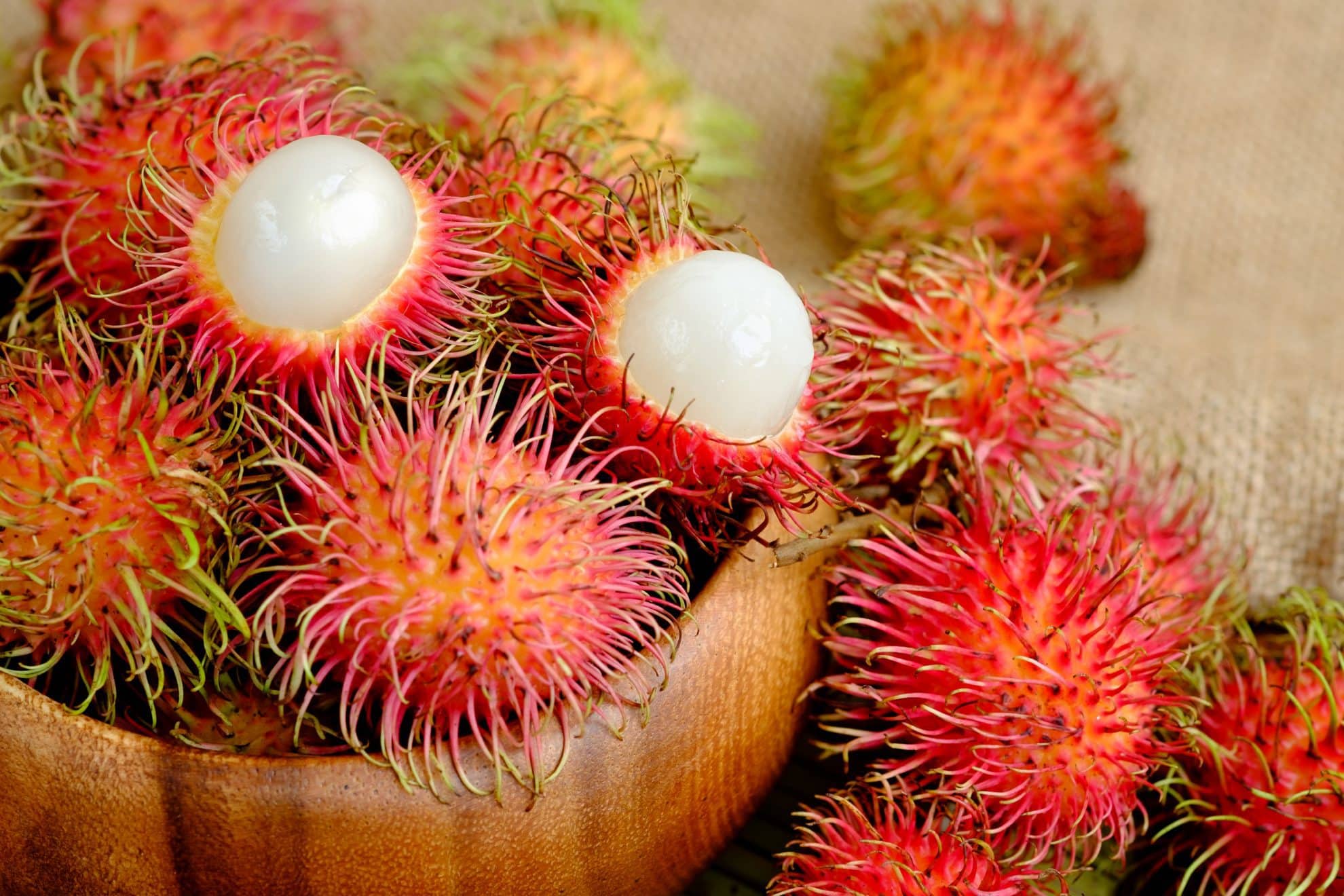 Rambutan 4